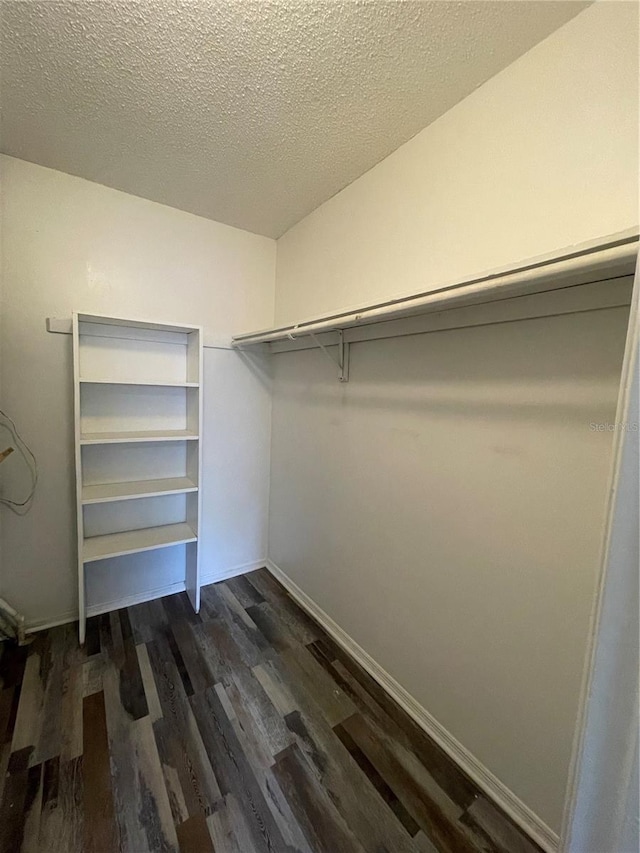 2520 Caper Ln Unit 206, Maitland, FL 32751 - photo 17