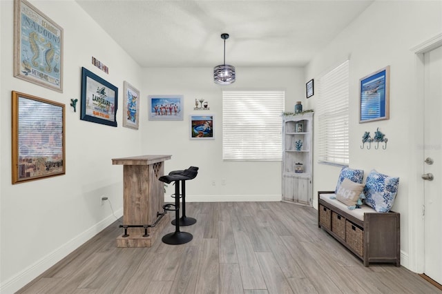 15613 Camp Dubois Cres, Winter Garden, FL 34787 - dining area with wood finished floors, baseboards, and a bar