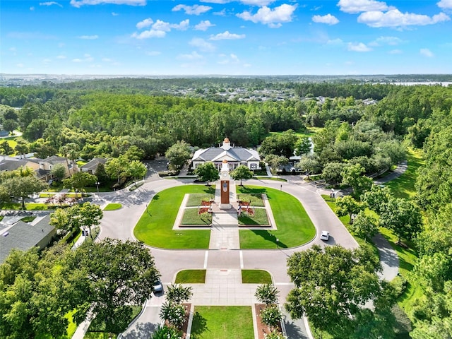 15613 Camp Dubois Cres, Winter Garden, FL 34787 - drone / aerial view of a forest