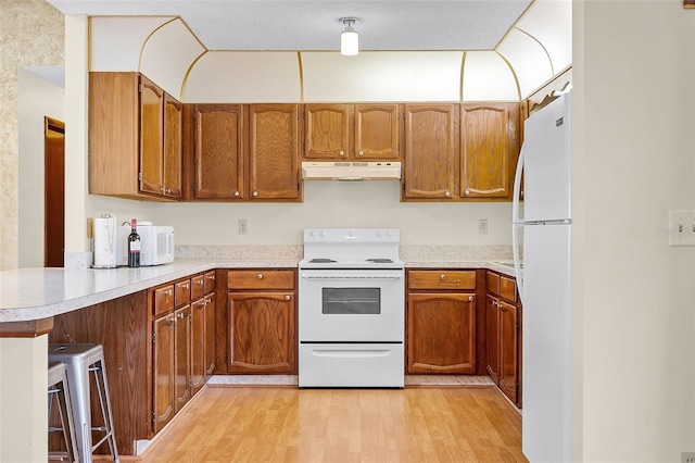 281 NE Greenbrier Ave, Port St Lucie, FL 34983 - kitchen featuring white appliances, under cabinet range hood, light wood finished floors, and light countertops