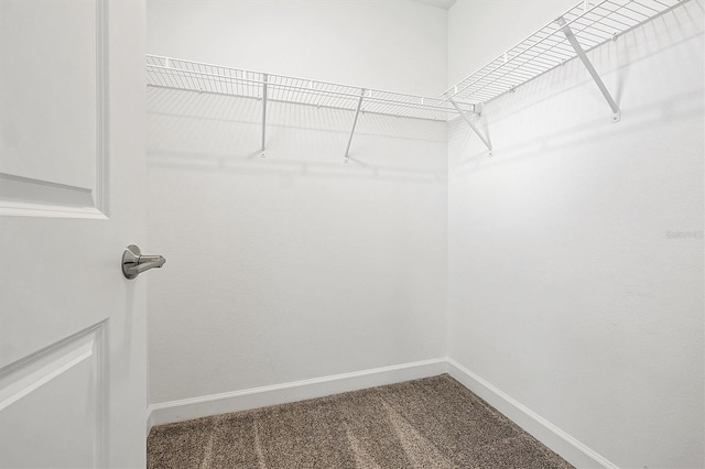 11288 Listening Dr, Orlando, FL 32832 - photo 23