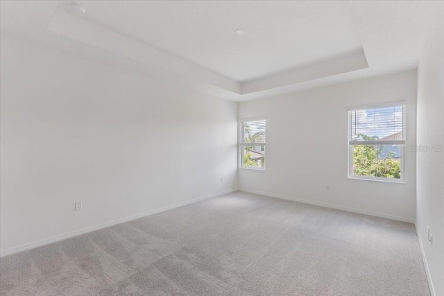 1267 Stockwell Ave, Saint Cloud, FL 34771 - unfurnished room featuring a raised ceiling and light colored carpet