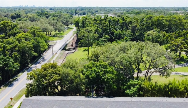 3118 Crown Jewel Ct, Winter Park, FL 32792 - photo 35