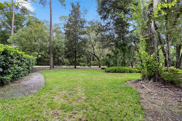 938 Southridge Trl, Altamonte Springs, FL 32714 - view of green lawn