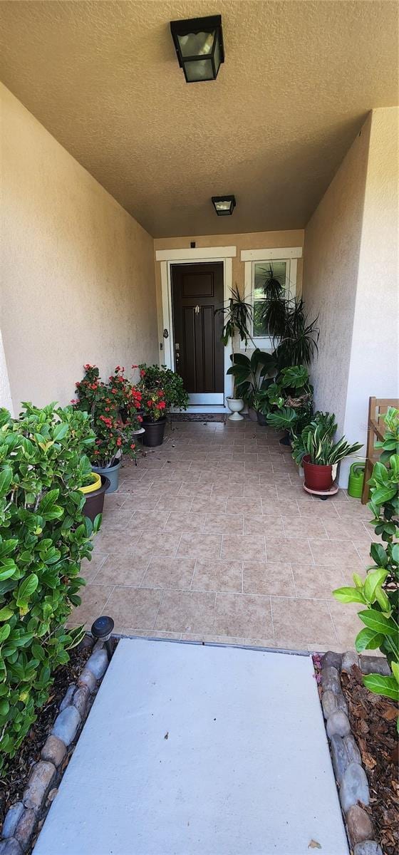 7620 Tangle Rush Dr, Gibsonton, FL 33534 - doorway to property with stucco siding and a patio area