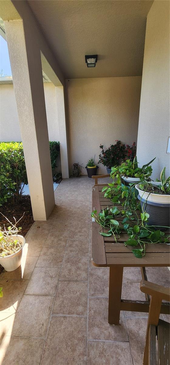 7620 Tangle Rush Dr, Gibsonton, FL 33534 - view of patio