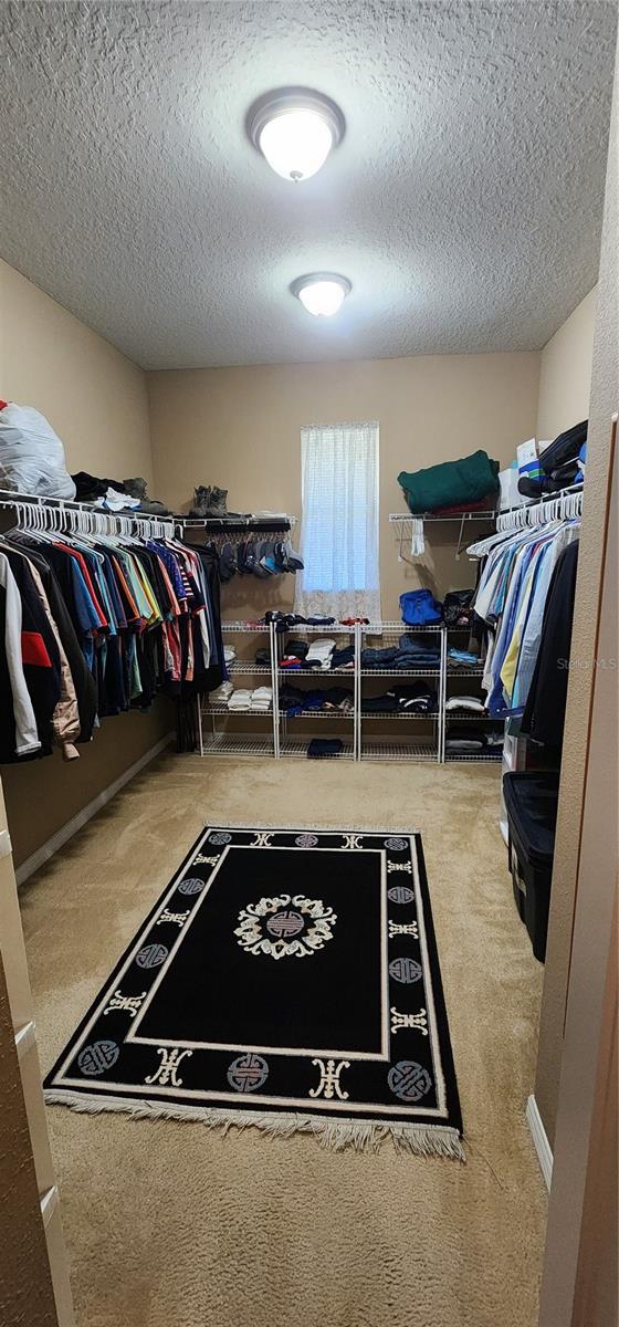 7620 Tangle Rush Dr, Gibsonton, FL 33534 - spacious closet with carpet