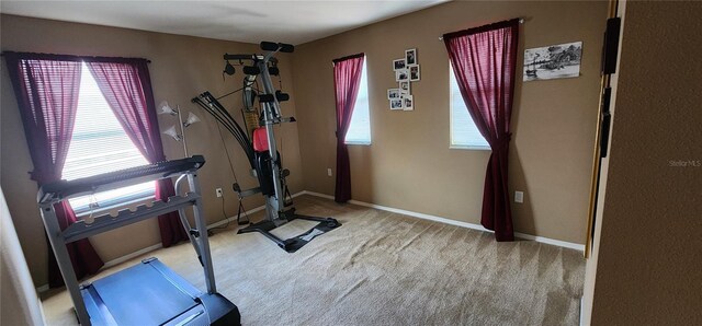 7620 Tangle Rush Dr, Gibsonton, FL 33534 - workout room featuring carpet flooring and baseboards