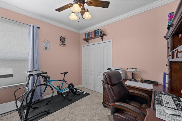 3562 Foxchase Dr, Clermont, FL 34711 - office with ceiling fan, carpet floors, and ornamental molding