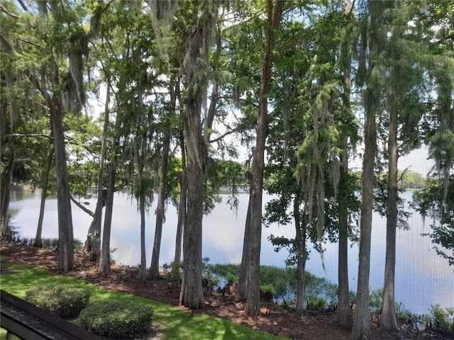 25210 Northlake Dr Unit 210, Sanford, FL 32773 - photo 45