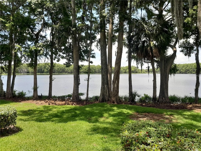 25210 Northlake Dr Unit 210, Sanford, FL 32773 - photo 64