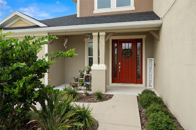 7163 Talamore Dr, Wesley Chapel, FL 33545 - view of exterior entry featuring a porch, a shingled roof, and stucco siding