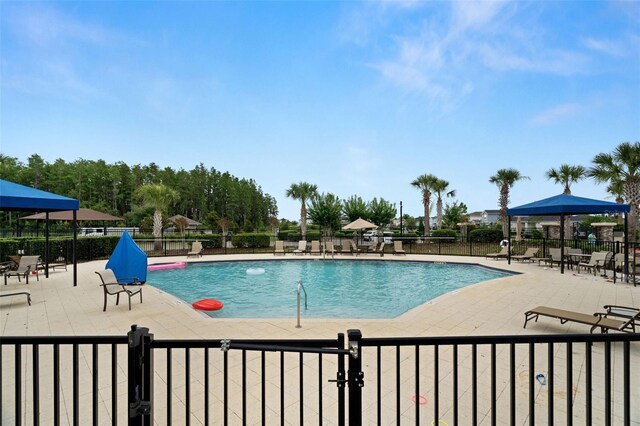 7163 Talamore Dr, Wesley Chapel, FL 33545 - community pool with a patio area