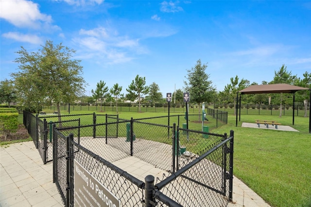 7163 Talamore Dr, Wesley Chapel, FL 33545 - view of patio featuring a dog friendly area and a gate