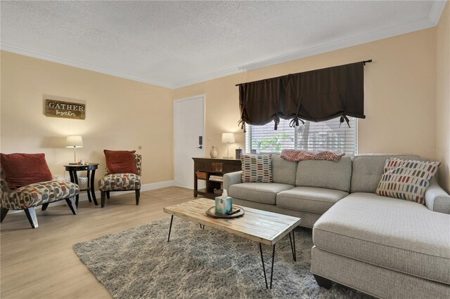 145 Oyster Bay Cir Unit 140, Altamonte Springs, FL 32701 - living room featuring crown molding, light wood-style floors, a textured ceiling, and baseboards