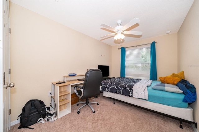 9539 Silver Buttonwood St, Orlando, FL 32832 - photo 15