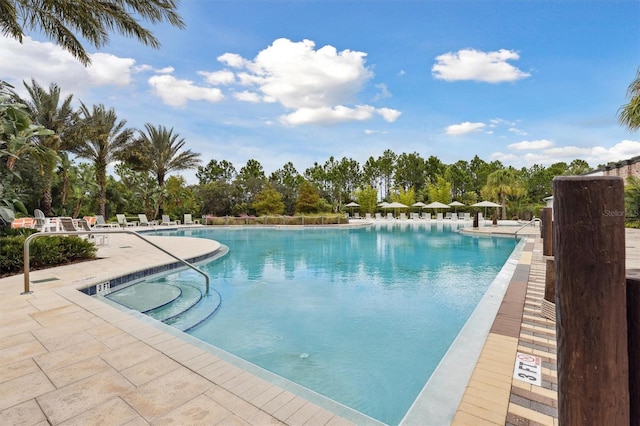 746 Longboat Dr, Davenport, FL 33896 - community pool featuring a patio and view of wooded area