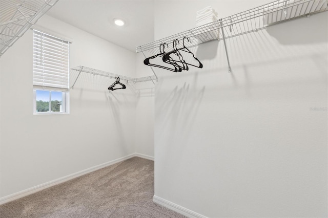 746 Longboat Dr, Davenport, FL 33896 - spacious closet featuring carpet flooring