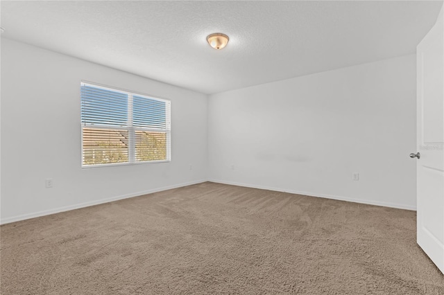 912 Grandin St, Davenport, FL 33837 - photo 23