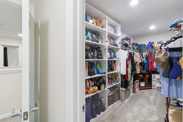 8975 Fluffy Lie Ct, Davenport, FL 33896 - walk in closet with carpet floors