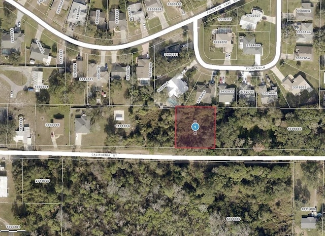 California St, Leesburg, FL 34788 - photo 3