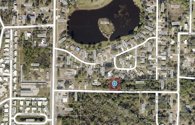 California St, Leesburg, FL 34788 - photo 4