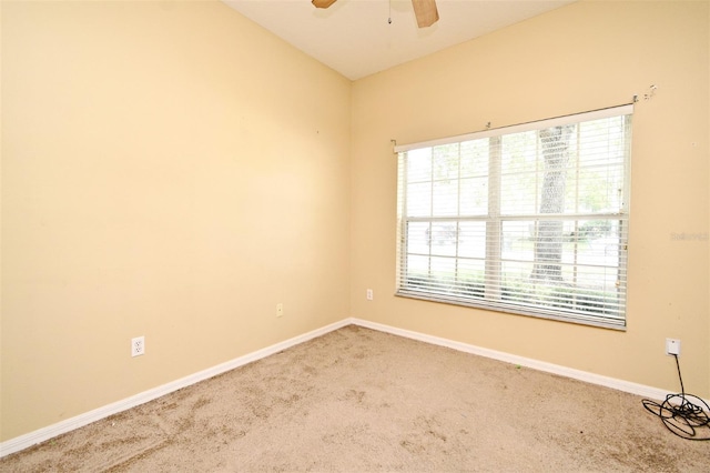 1086 Wickerwood St, Ocoee, FL 34761 - carpeted empty room with a ceiling fan and baseboards