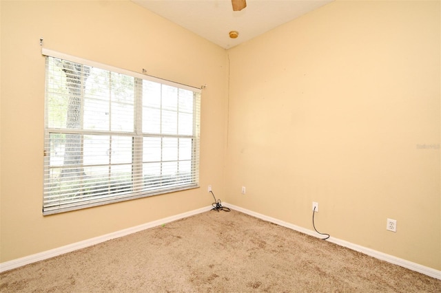 1086 Wickerwood St, Ocoee, FL 34761 - empty room featuring carpet, baseboards, and ceiling fan