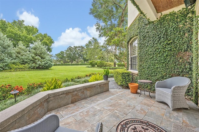 922 N Pennsylvania Ave, Winter Park, FL 32789 - photo 8