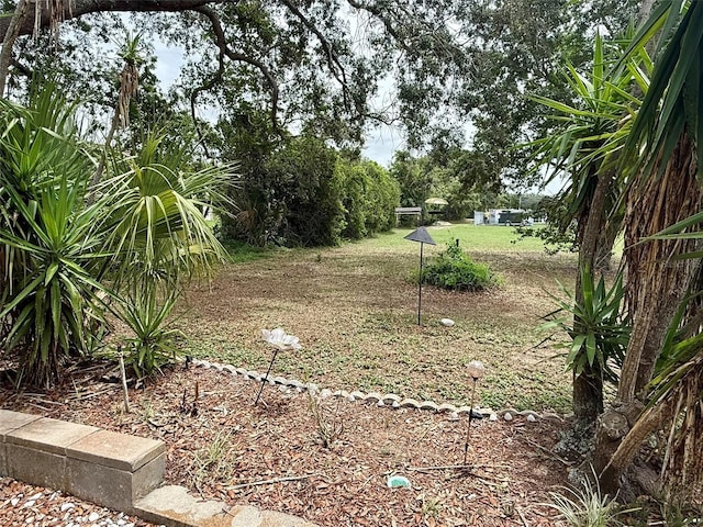 10301 US Highway 27 Unit 34, Clermont, FL 34711 - view of yard