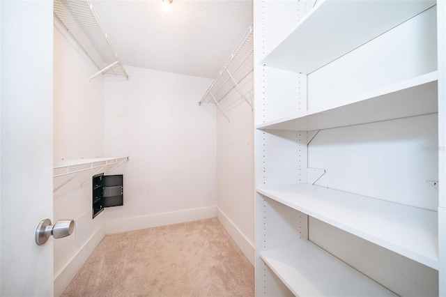 1115 Marni Ridge Ct, Kissimmee, FL 34747 - walk in closet with light carpet