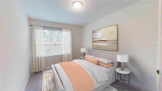 6178 Daerr Ridge St, Zephyrhills, FL 33542 - bedroom featuring carpet flooring and baseboards