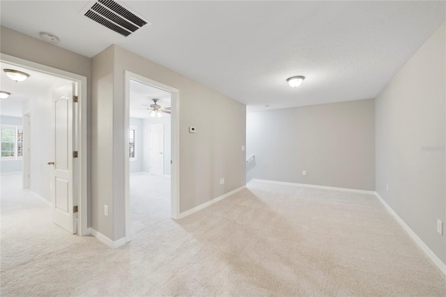 20214 Water Hickory Pl, Tampa, FL 33647 - photo 12