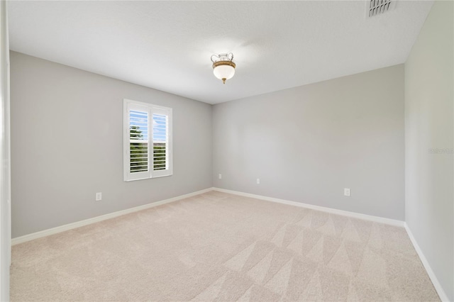 20214 Water Hickory Pl, Tampa, FL 33647 - photo 19