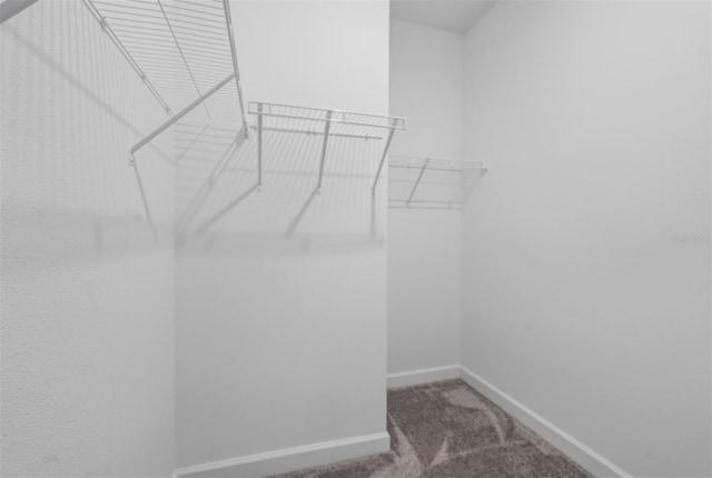 9941 Introduction Way, Orlando, FL 32832 - photo 19