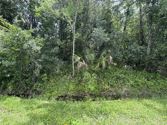2737 10th St, Orlando, FL 32820 - photo 1