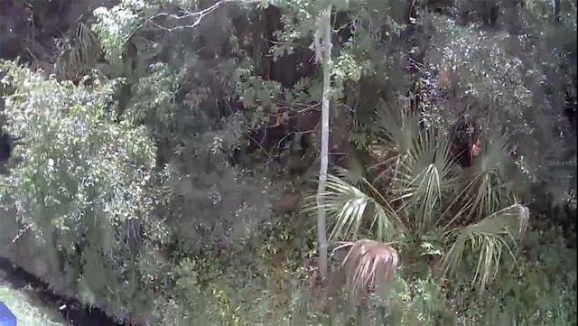 2737 10th St, Orlando, FL 32820 - photo 3