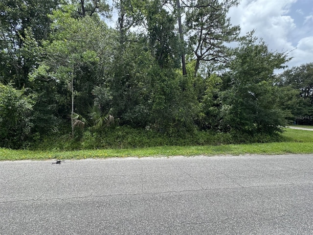 2737 10th St, Orlando, FL 32820 - photo 11