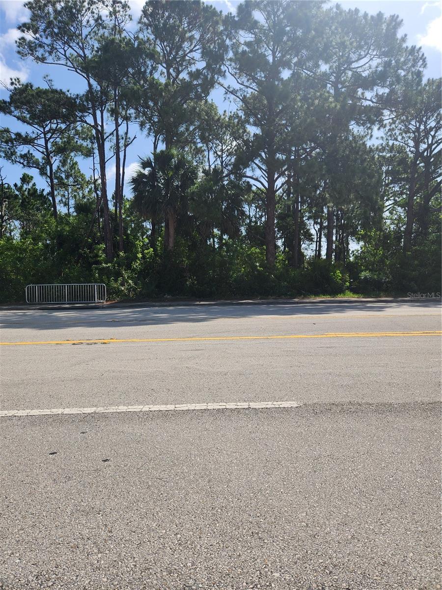 S Nova Rd, Port Orange, FL 32127 - photo 2