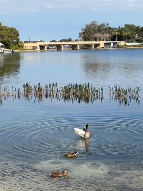 7145 Lake Dr, Orlando, FL 32809 - photo 82