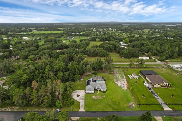 15038 Willow Ln, Tavares, FL 32778 - drone / aerial view