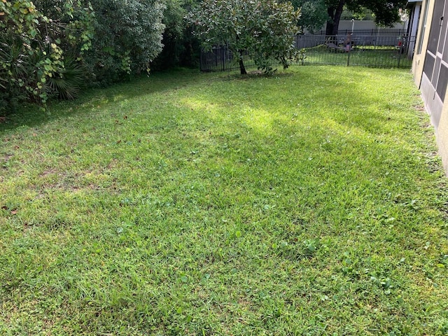 11236 Rouse Run Cir, Orlando, FL 32817 - view of yard