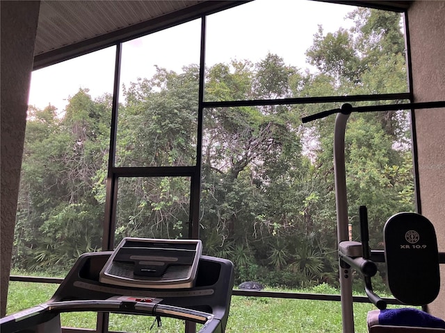 11236 Rouse Run Cir, Orlando, FL 32817 - detailed view of a forest