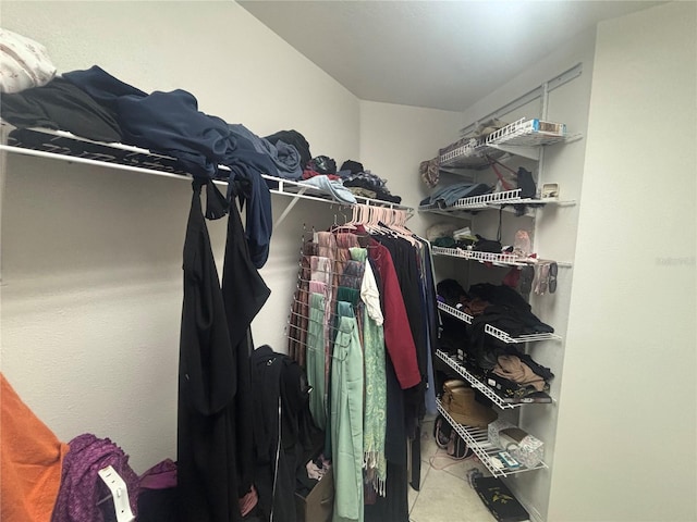11236 Rouse Run Cir, Orlando, FL 32817 - view of spacious closet