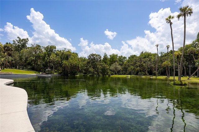 211 Crown Oaks Way Unit 205, Longwood, FL 32779 - water view featuring a heavily wooded area