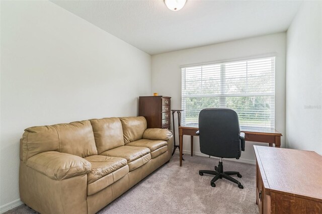 3028 Water Sprite St, Orlando, FL 32808 - photo 21