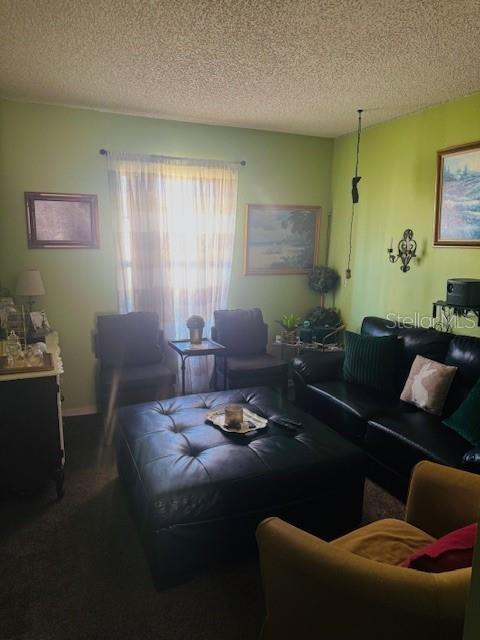 1907 Myakka Ct, Poinciana, FL 34759 - living area with a textured ceiling and carpet