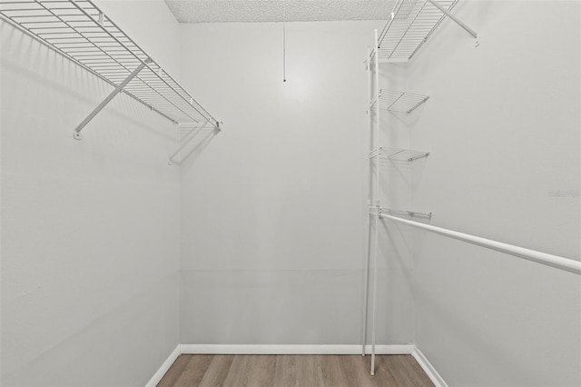 5436 E Michigan St Unit 7, Orlando, FL 32812 - walk in closet with wood finished floors