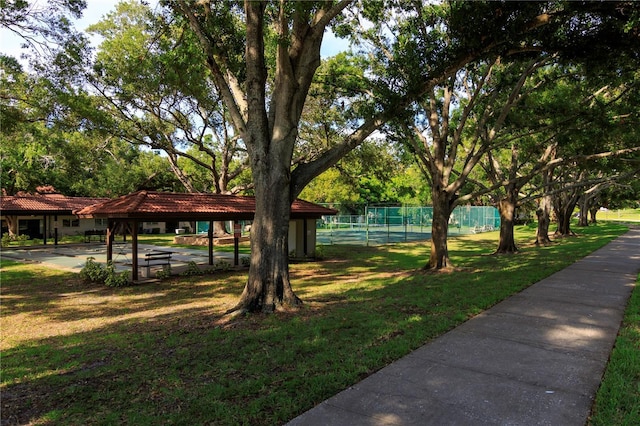 1122 Montrose Pl Unit 1713, Dunedin, FL 34698 - view of property's community