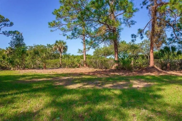 10131 Eagle Preserve Dr, Englewood, FL 34224